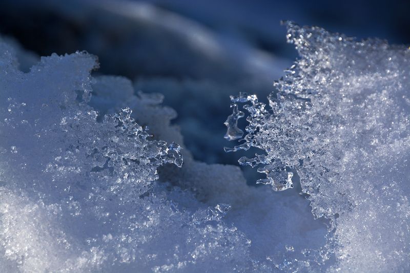 Кружево марта фото превью