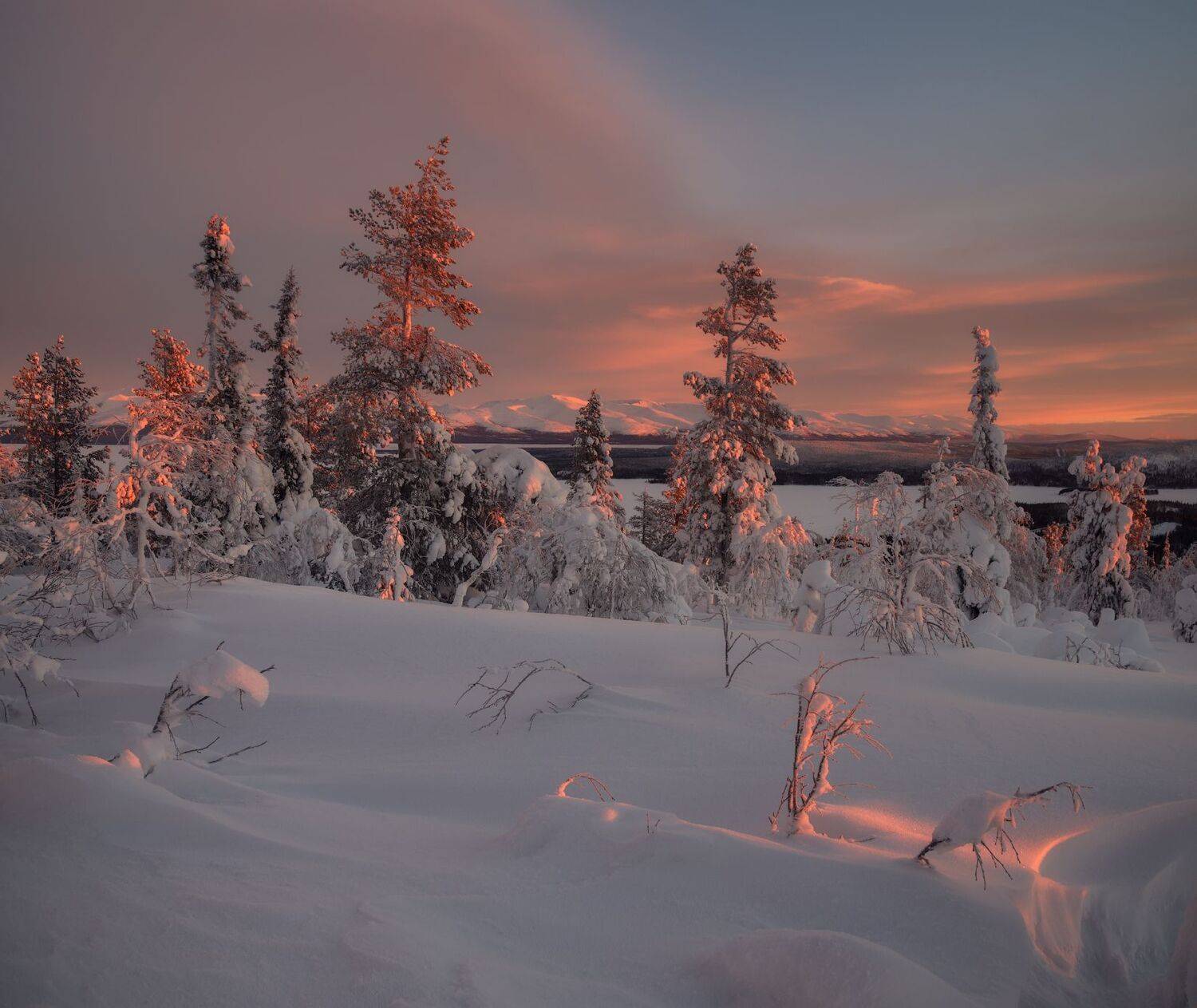 , Виталий Истомин