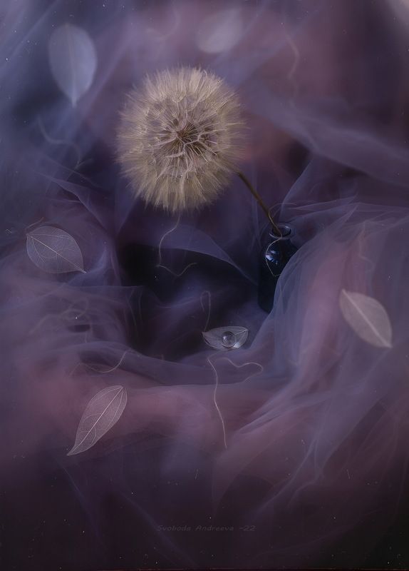 сиреневый плен* фото превью