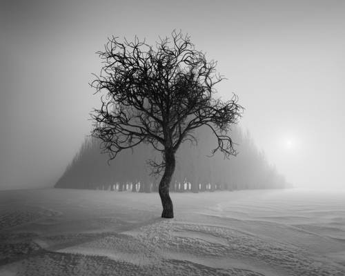 alone