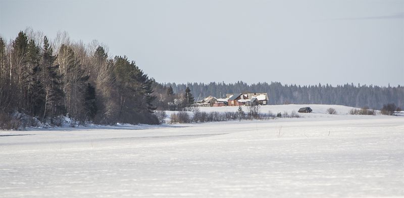 Северная деревня Медведевская. фото превью