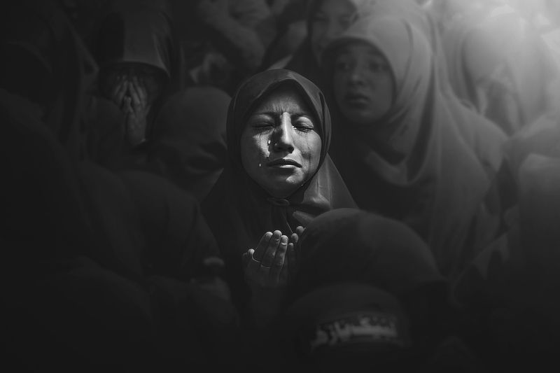 الانسانية фото превью