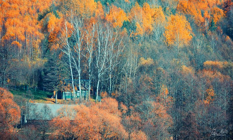 осень фотографминск petermilto belarus nature природабеларуси волмечка Золотая Волмечка фото превью