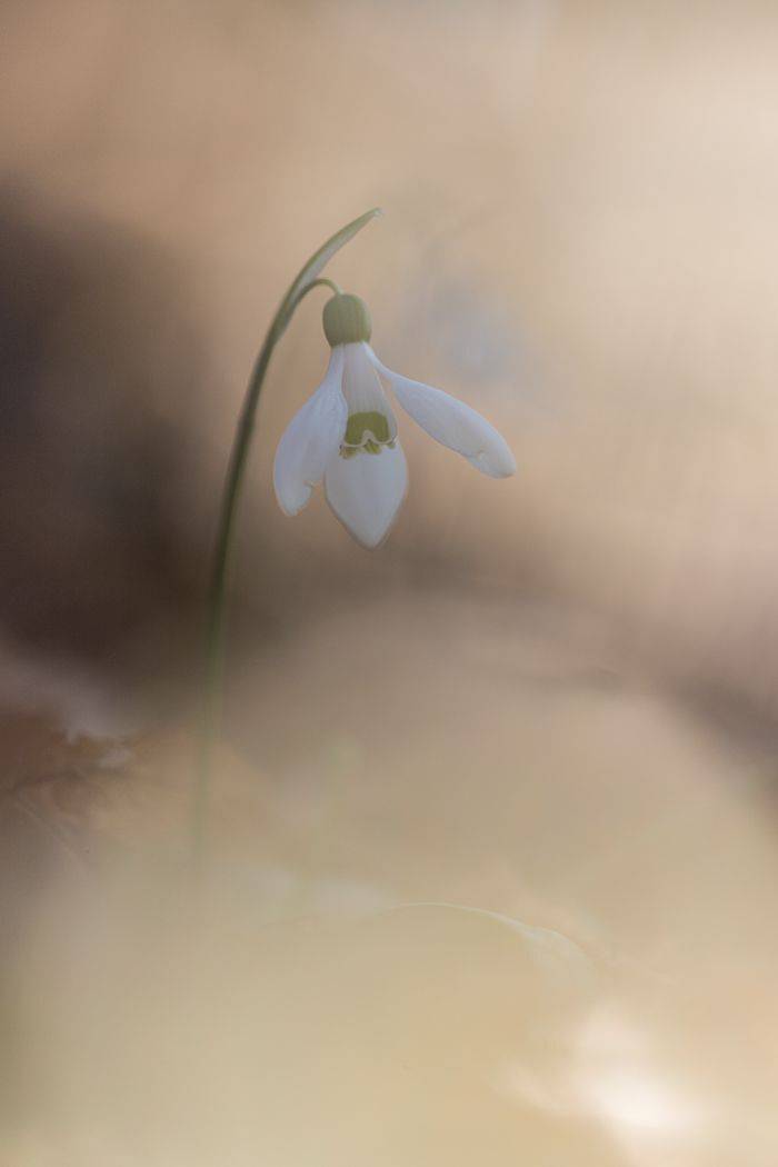 , Илья Михеев