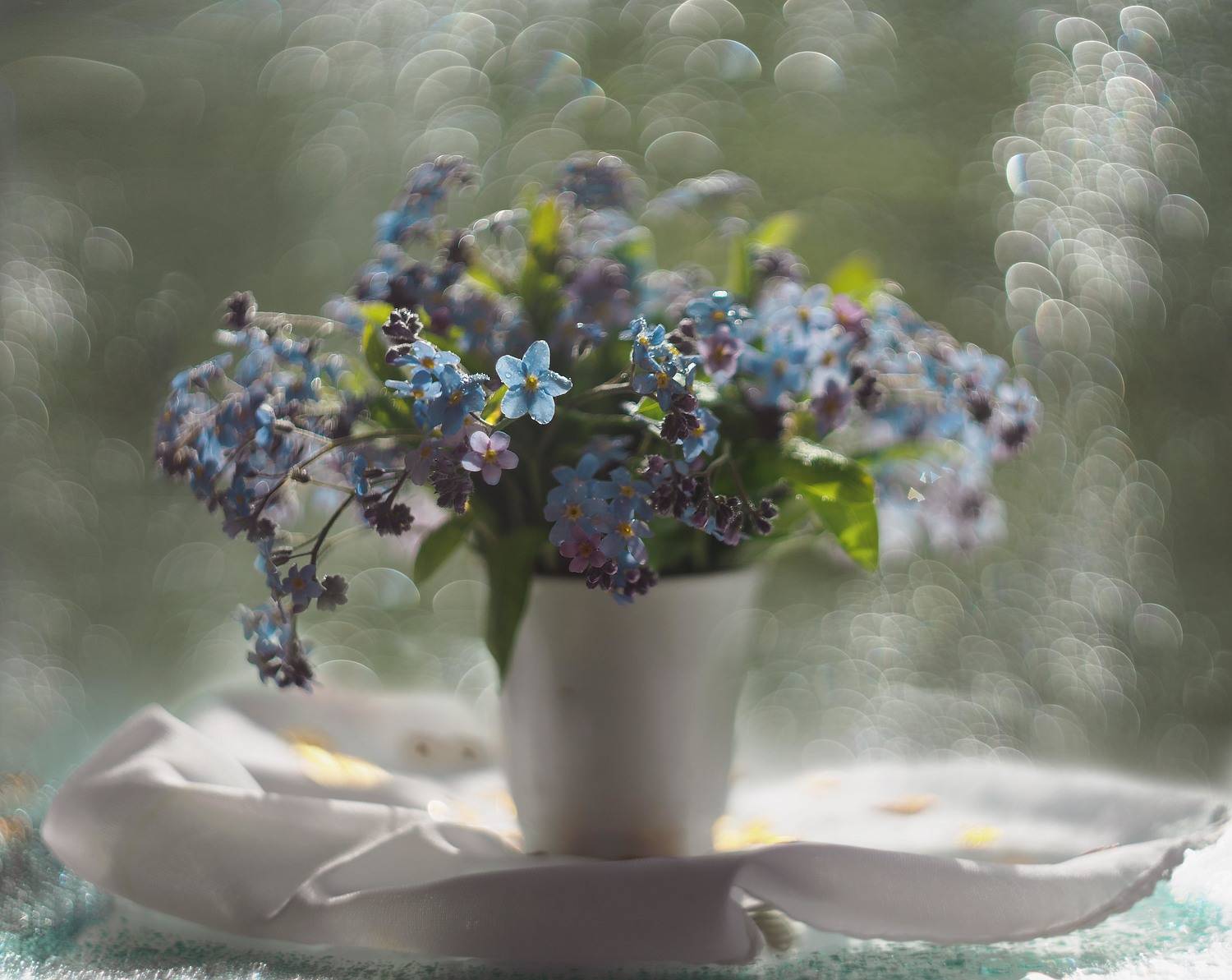 натюрморт, цветы, ваза, свет лучи, солнце, голубой, белый, боке, Анжелика