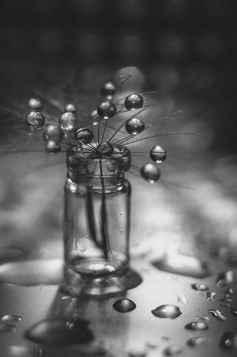 Черно-белое настроение