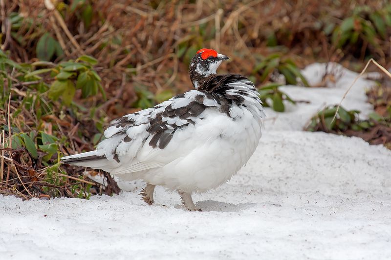 На свидание фото превью