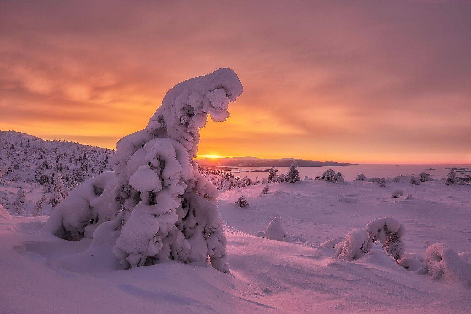 рассвет, , Константин Маланин