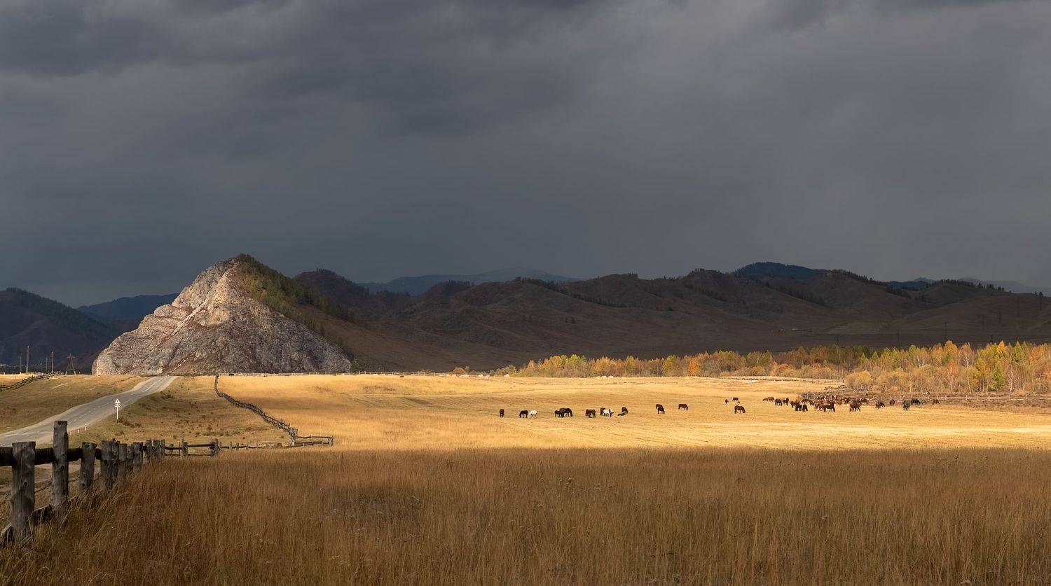 алтай, гроза, осень, Марина Фомина