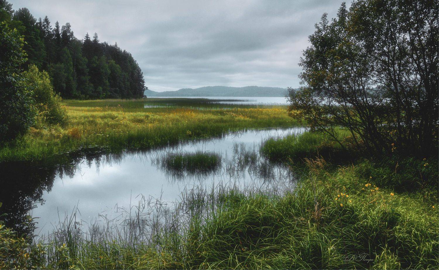 озеро трава деревья, Вера Петри