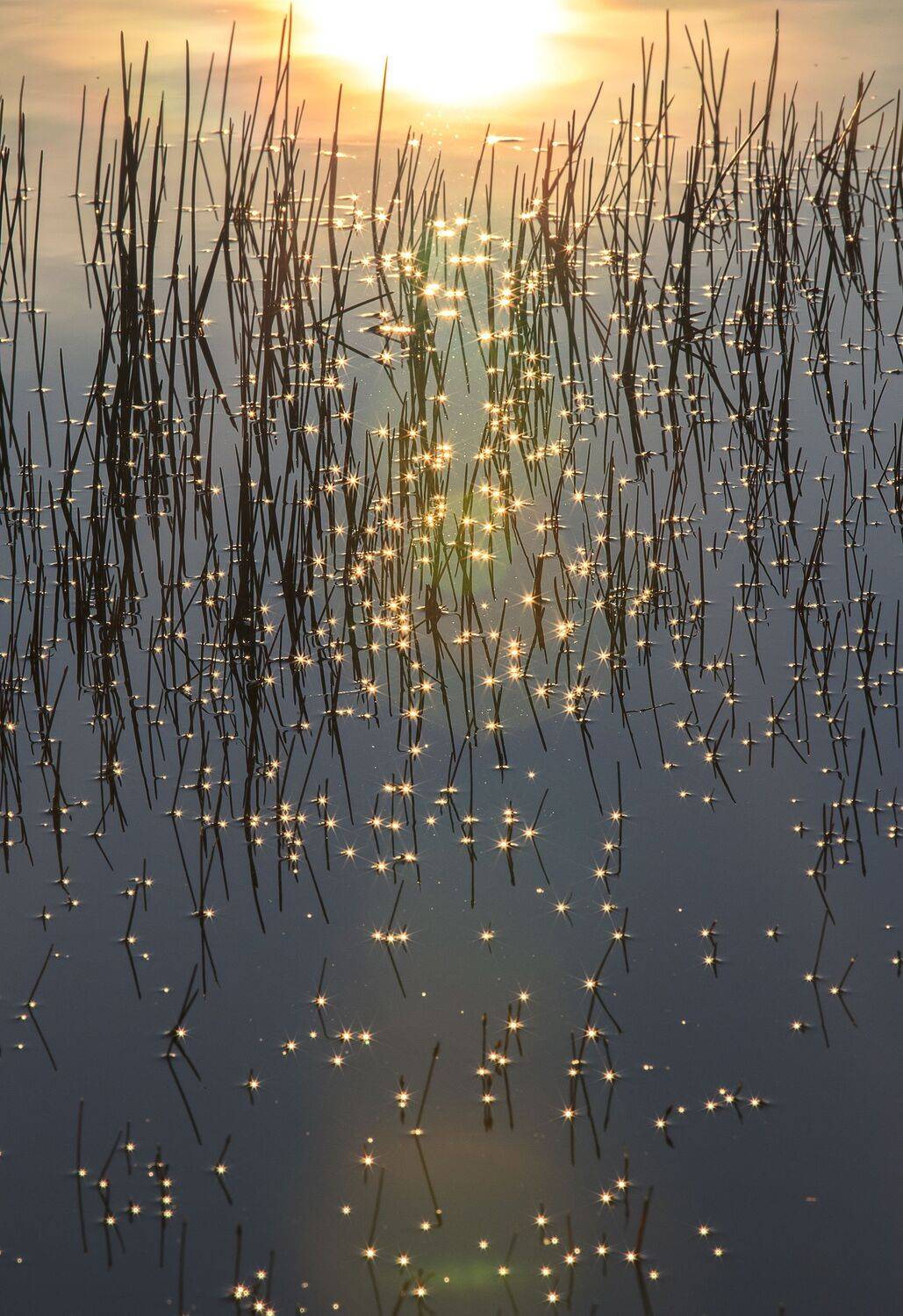 , Михаил Байбородин