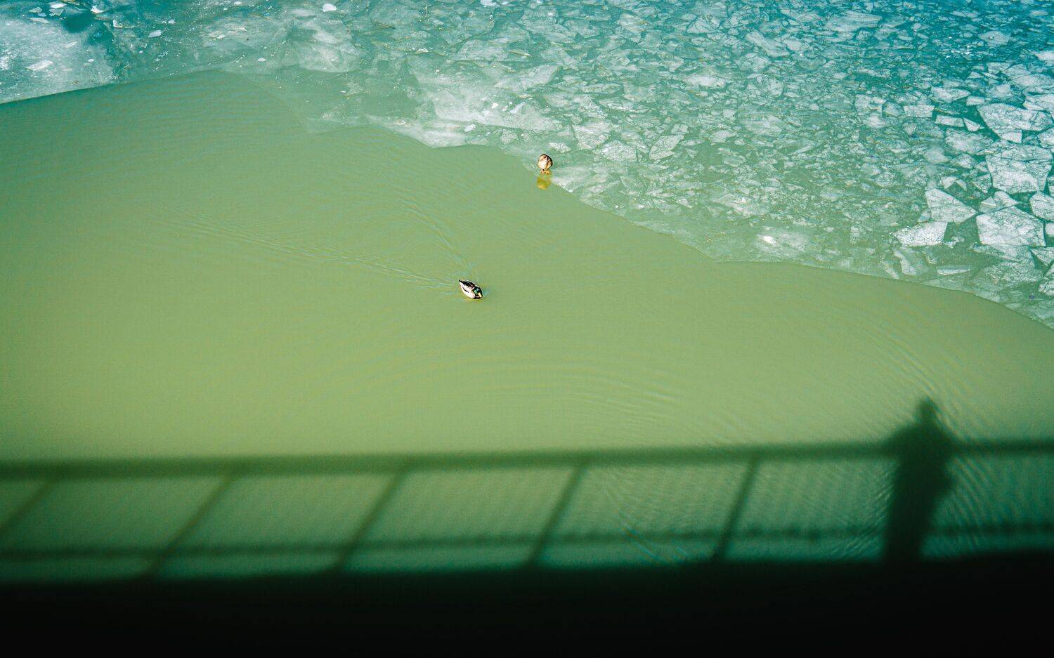 , Юрий Вертиков