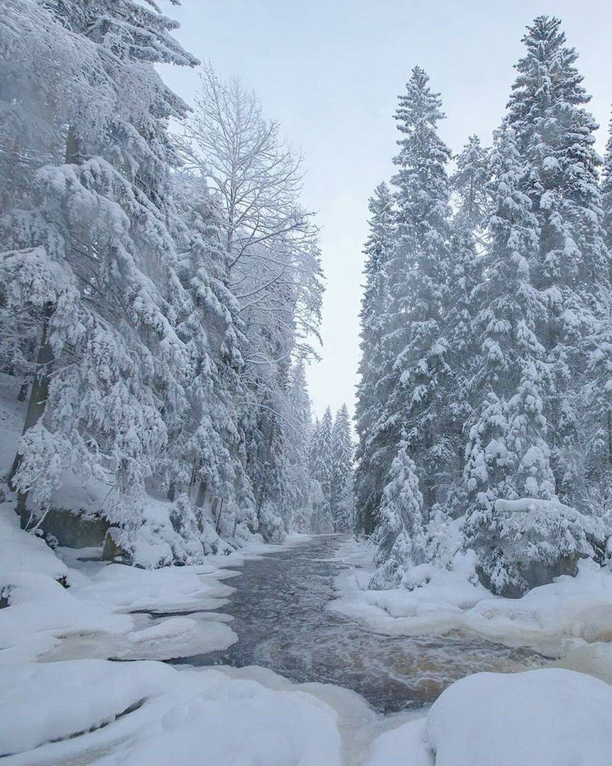 , Петр Косых