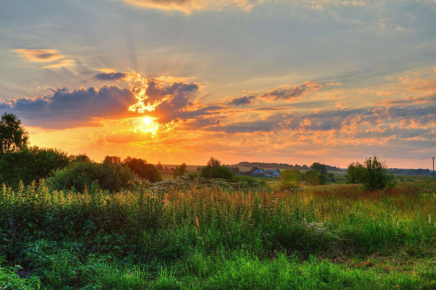 закат, солнце, лето, пейзаж, Alexey Belov