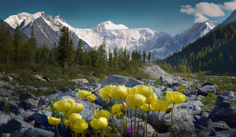 Белуха... фото превью