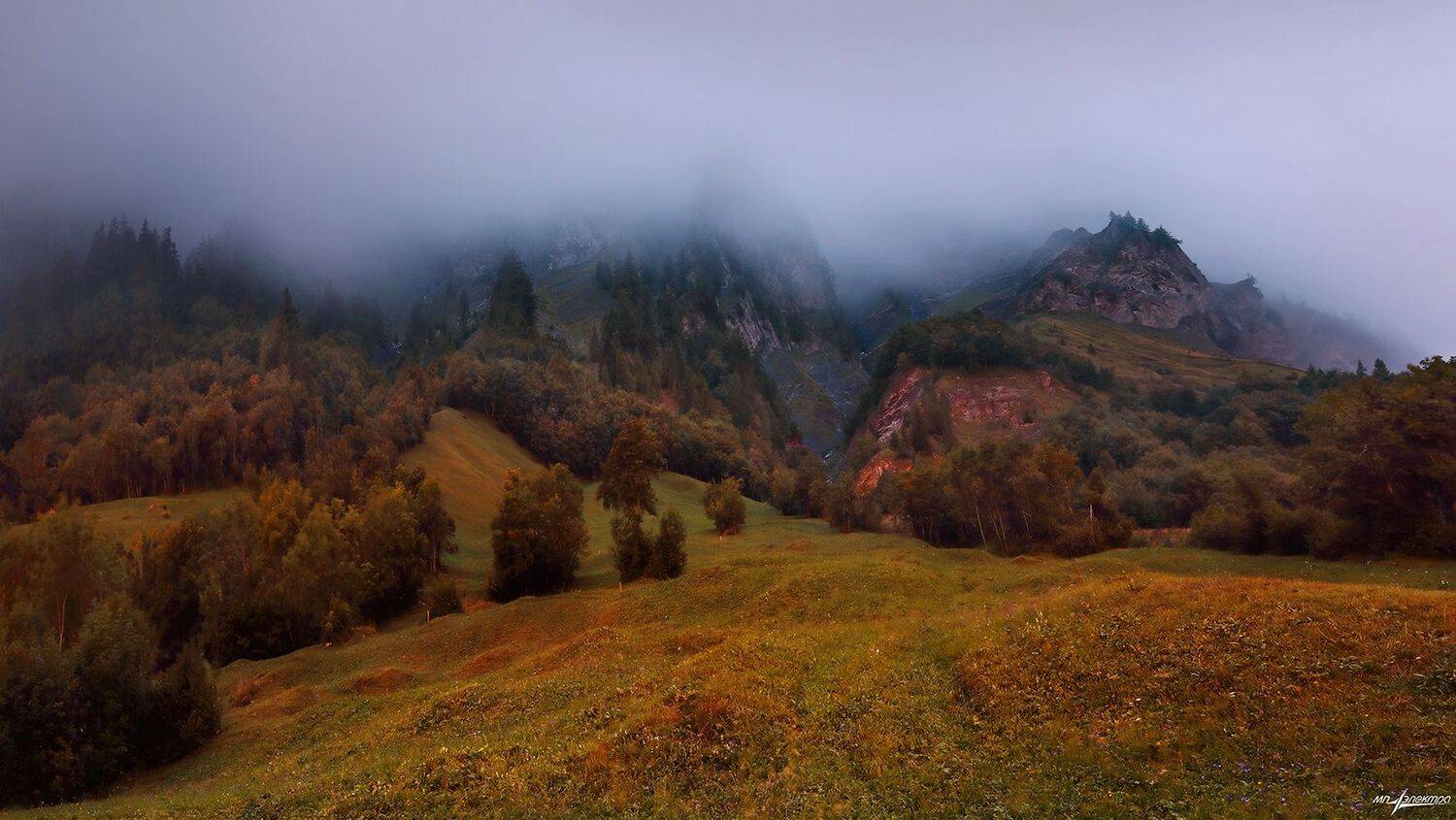 swiss, Матвеев Николай