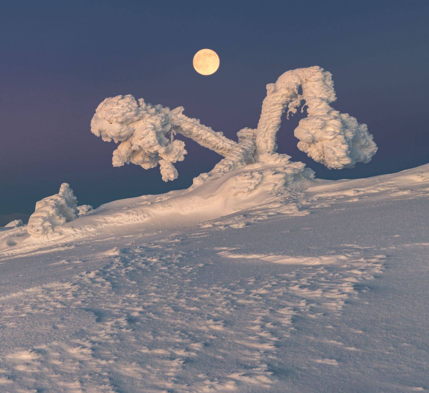 зима, кандалакша, кольский, Сергей Алещенко