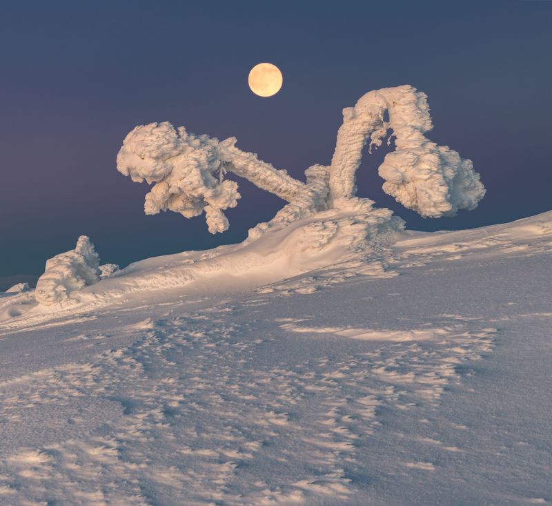 зима, кандалакша, кольский Весы фото превью