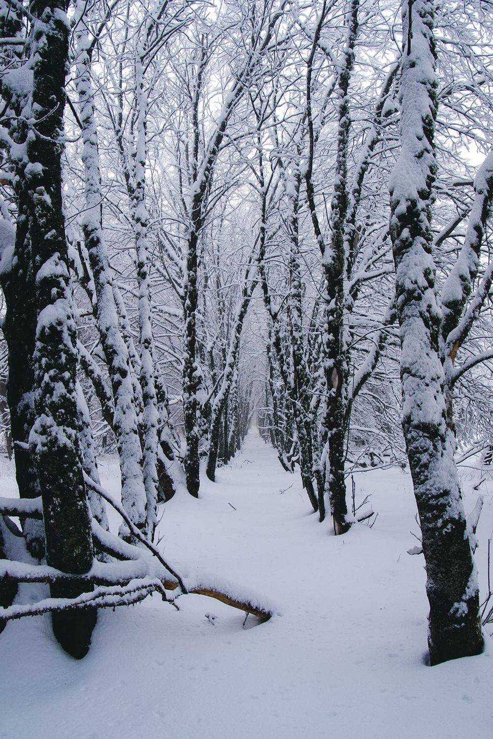 крым, Юрий Коваленко