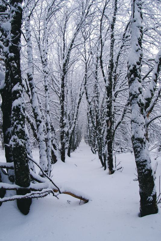 крым *** фото превью