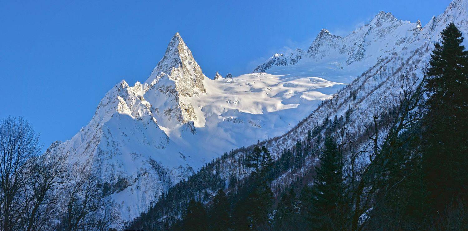 , Сергей Седов