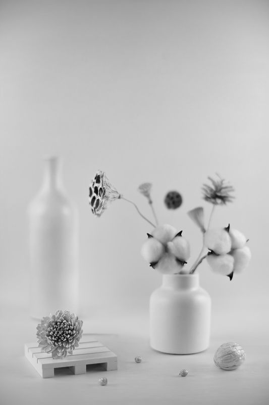 натюрморт, хлопок, лотос, ликвидамбар, сосновая шишка, маргаритка, грецкий орех *** фото превью