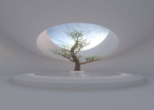 zen garden