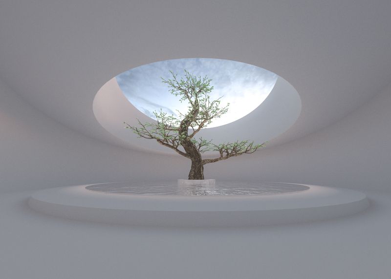 planet art architecture zen garden фото превью