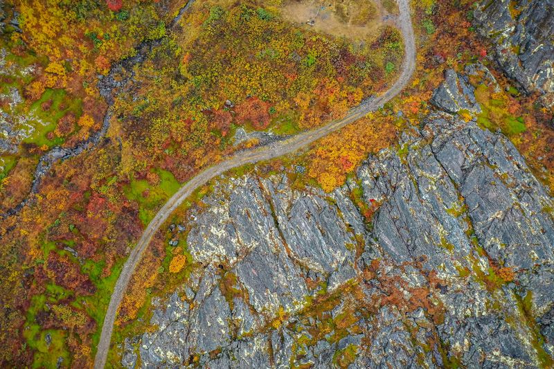 Дороги тундры фото превью