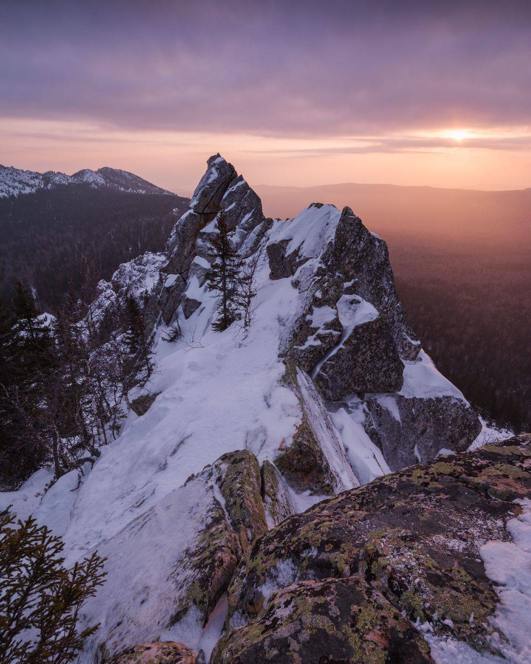 , Алексей Проняхин