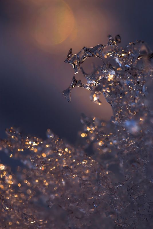 Причуды весны фото превью