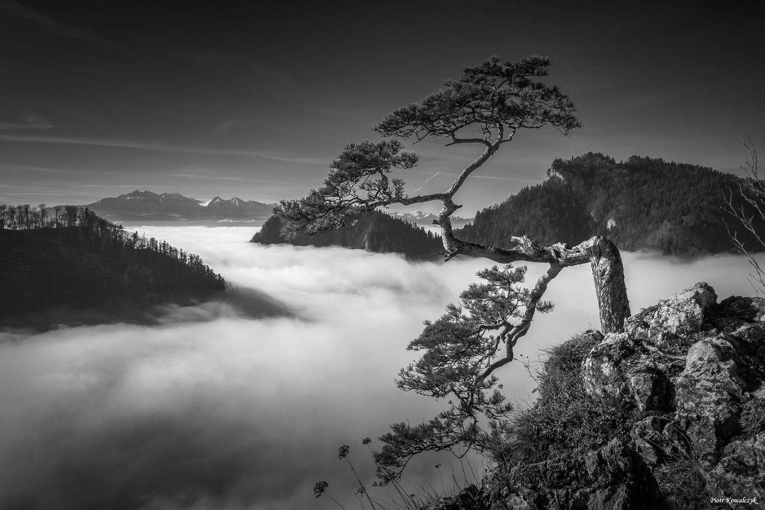 polska, pieniny, sokolica, Kowalczyk Piotr