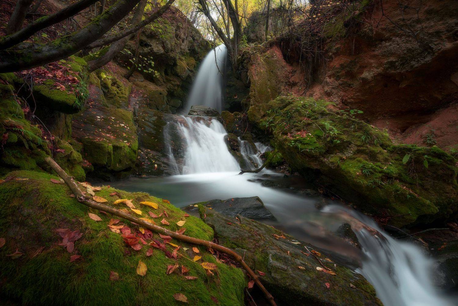 , Mariyana Atanasova - Lucero