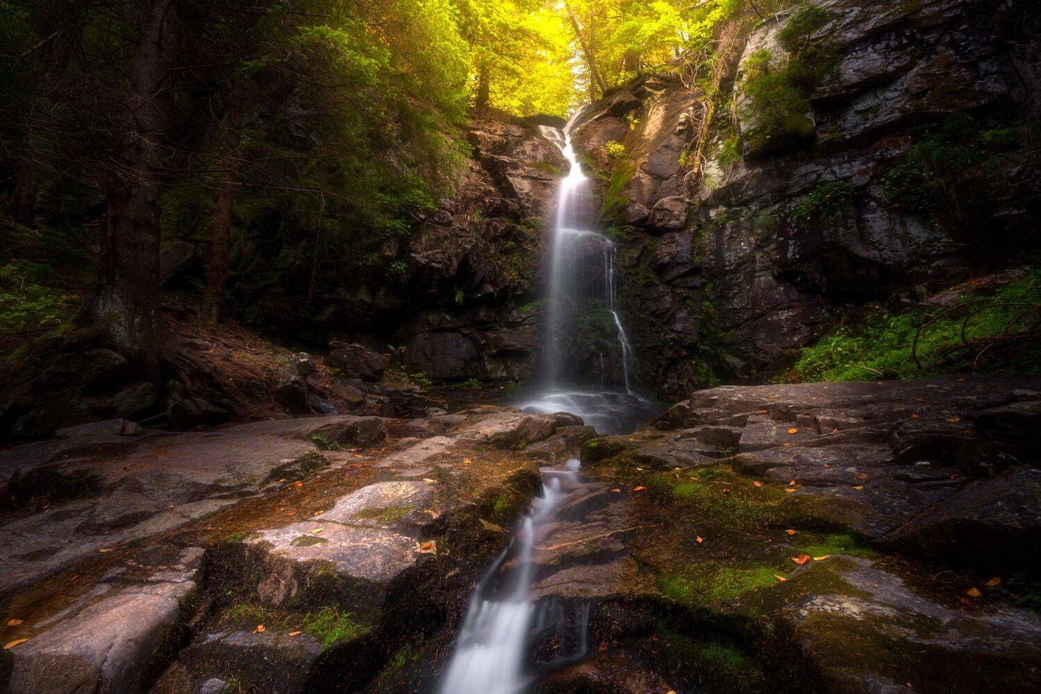 , Mariyana Atanasova - Lucero