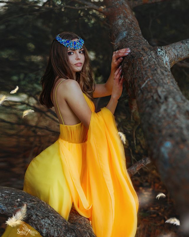 ЖЕЛТАЯ ПТИЧКА фото превью