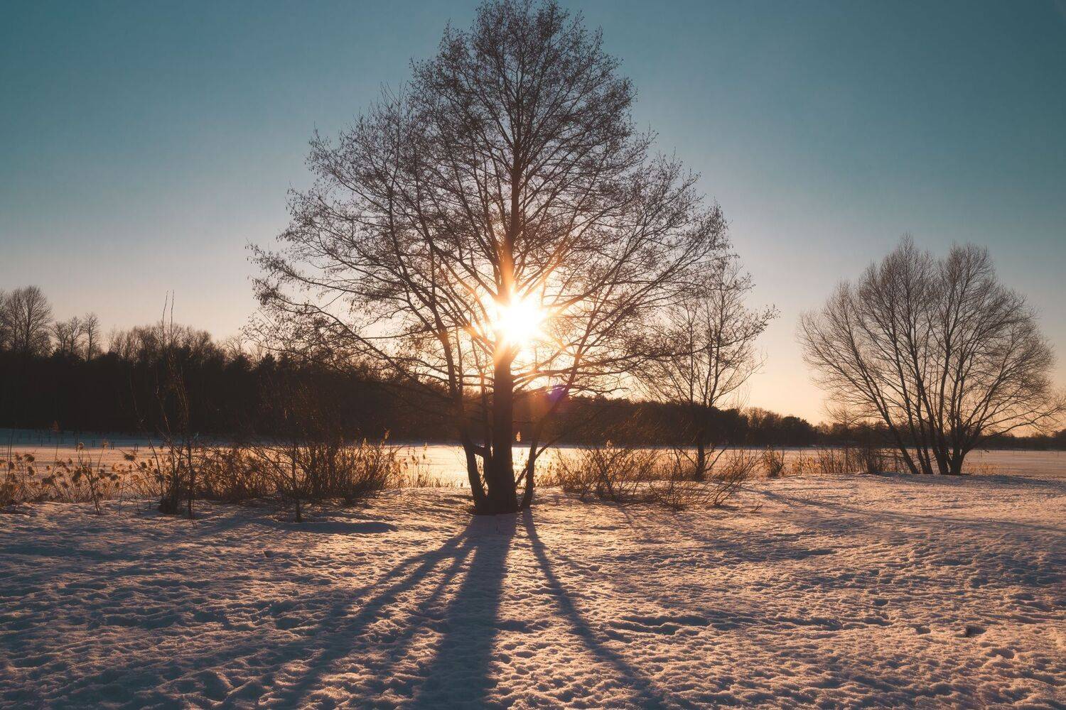 , Котов Андрей