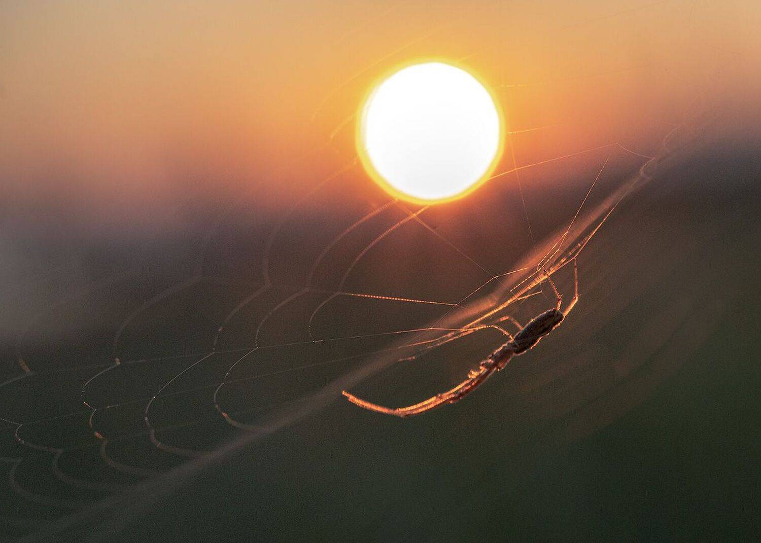 , Сергей Брагин