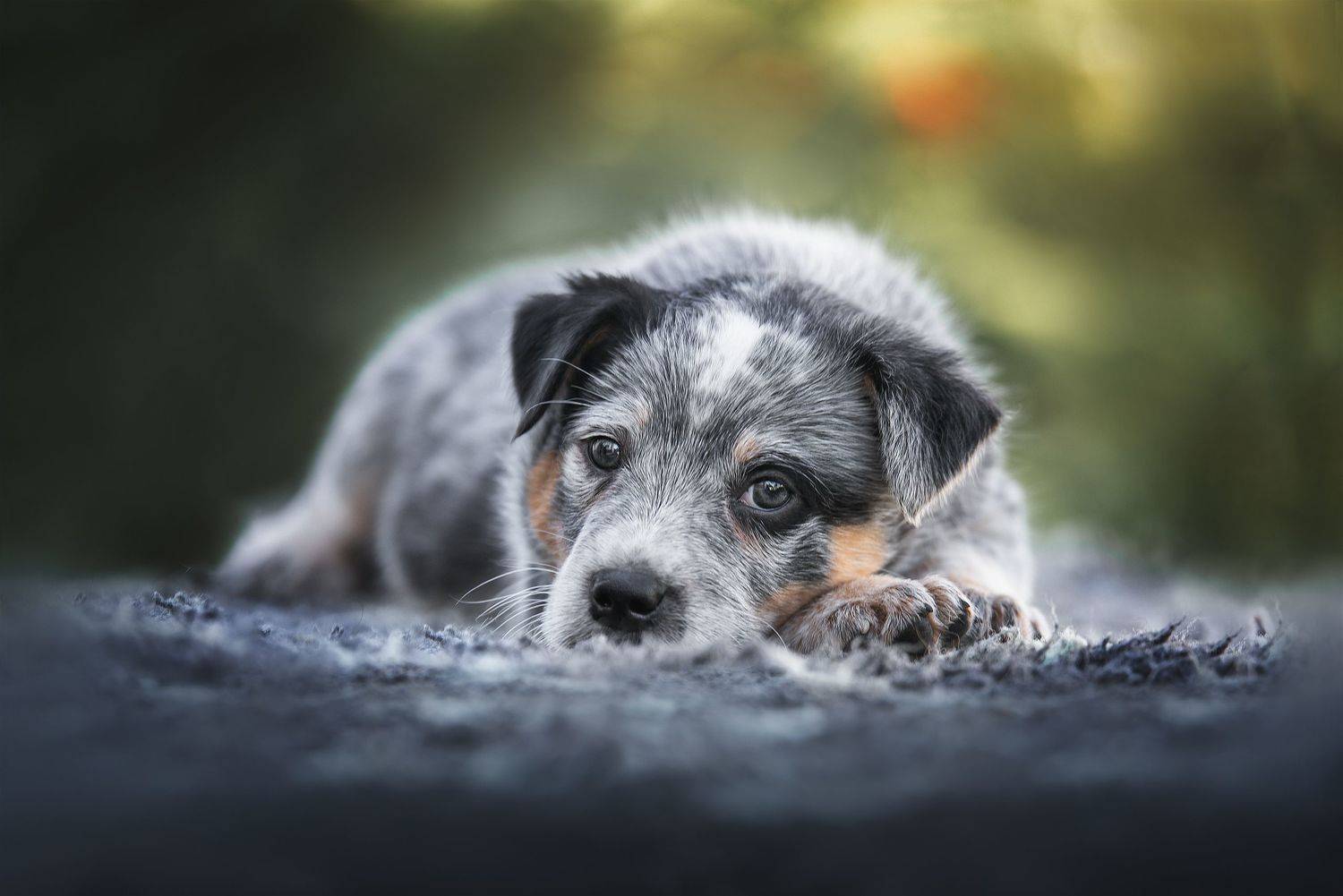 , Юлия Гончар