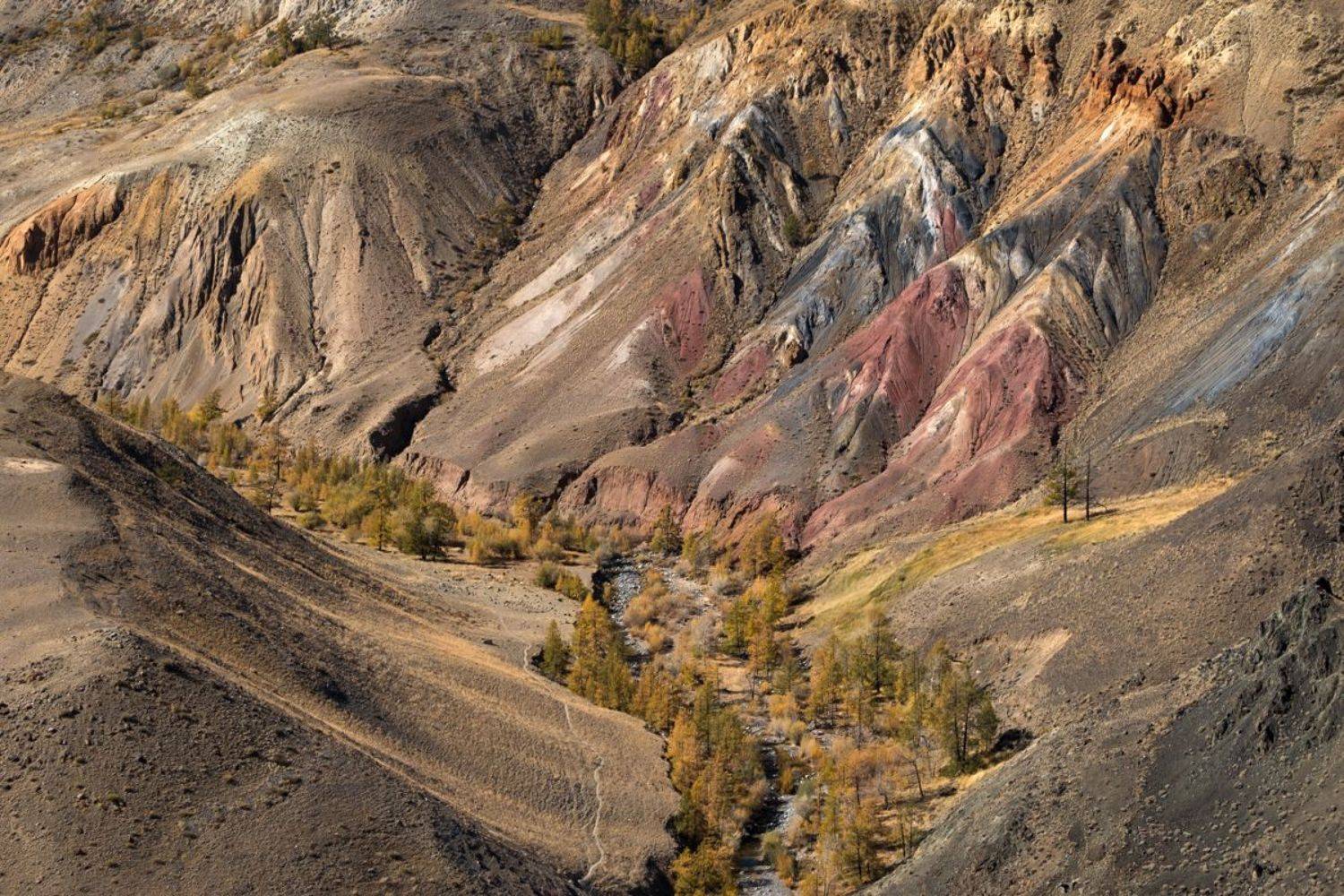 горный алтай, Ольга Челдыкова