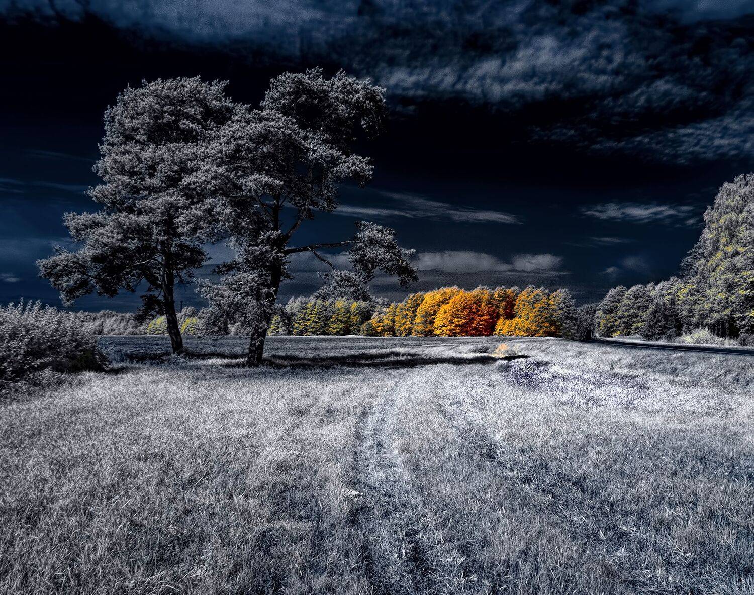 ,  Sixten (Сергей)