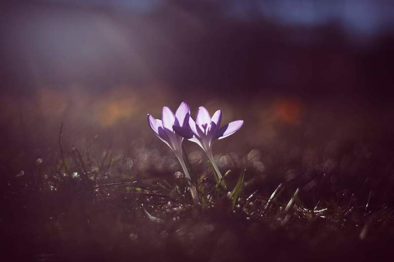 ... фото превью