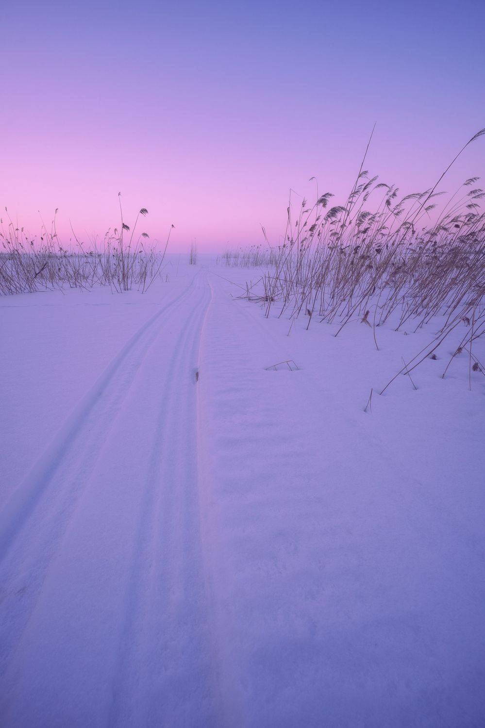 рыбинск, вечер, небо, снег, зима, берег, рыбинское водохранилище, сумерки, весна, Алексей Глухов