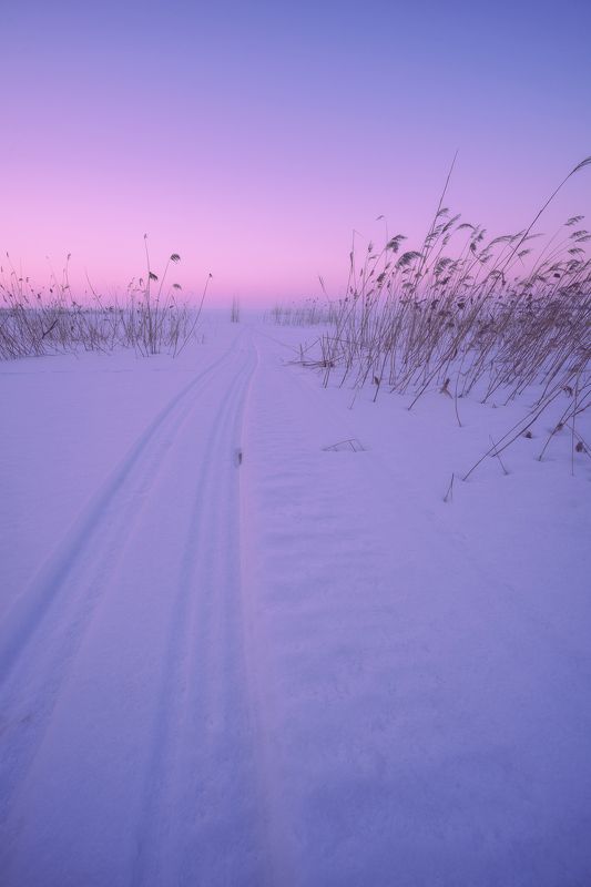 рыбинск, вечер, небо, снег, зима, берег, рыбинское водохранилище, сумерки, весна Розовый вечер фото превью