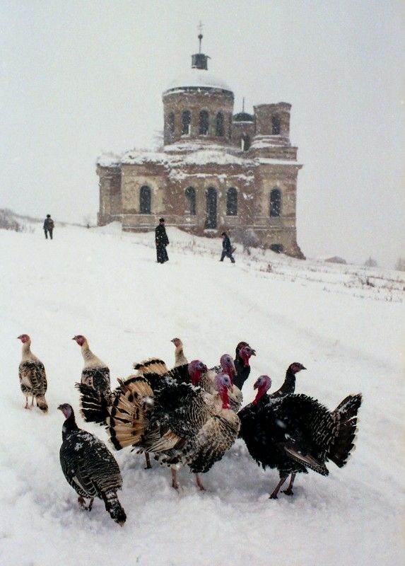 Храм в Большой Валяевке фото превью