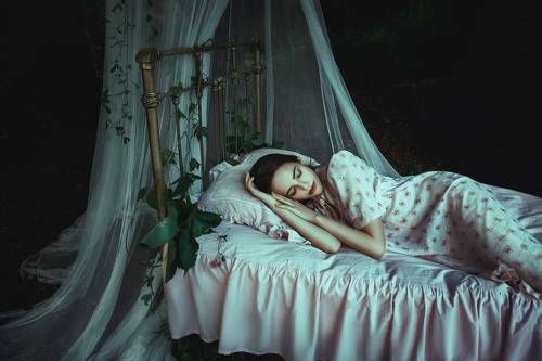 Dream