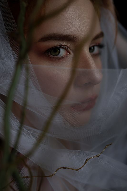 SOFY фото превью