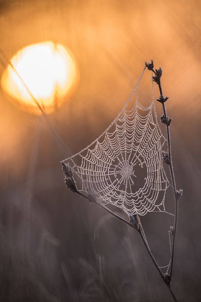 , Илья Михеев