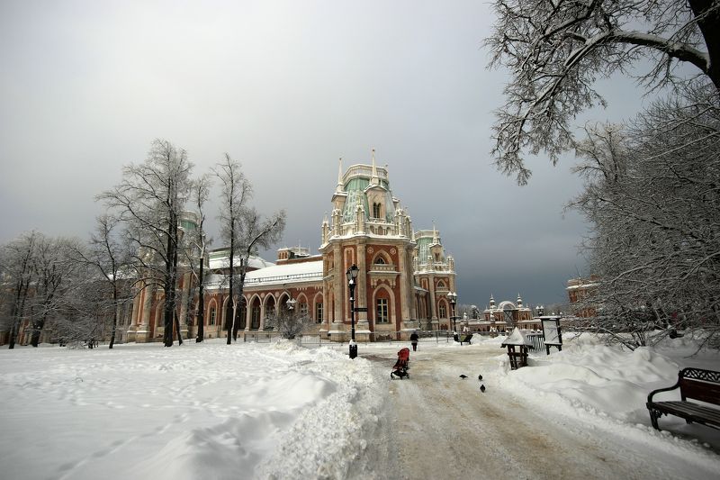 Царицыно, зима, дворец, ненастье Царицыно. Просветление фото превью