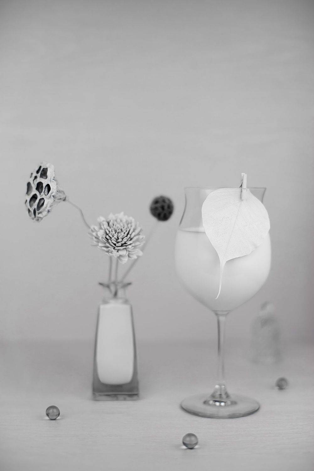 натюрморт, лотос, ликвидамбар, маргаритка, Александр