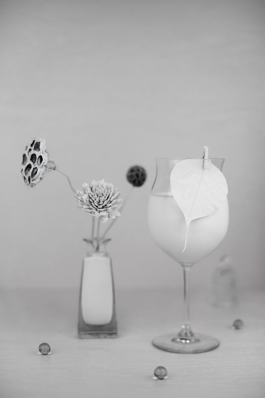 натюрморт, лотос, ликвидамбар, маргаритка Молочный фото превью